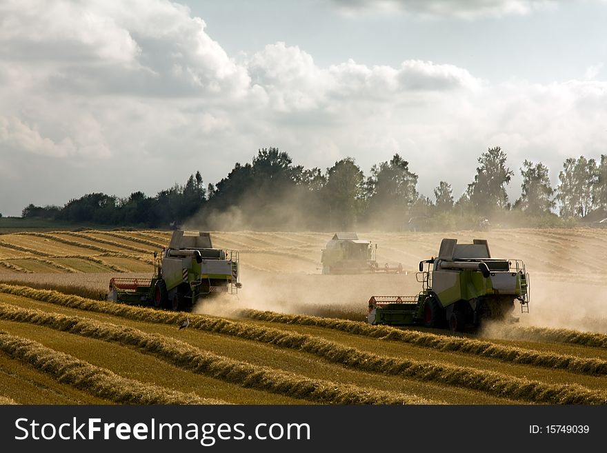 Combines which clean the ripened grain plants. Combines which clean the ripened grain plants