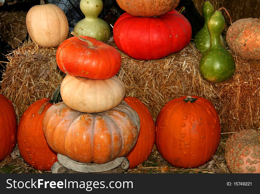 Fresh different type of pumpkins arranged on hay. Fresh different type of pumpkins arranged on hay