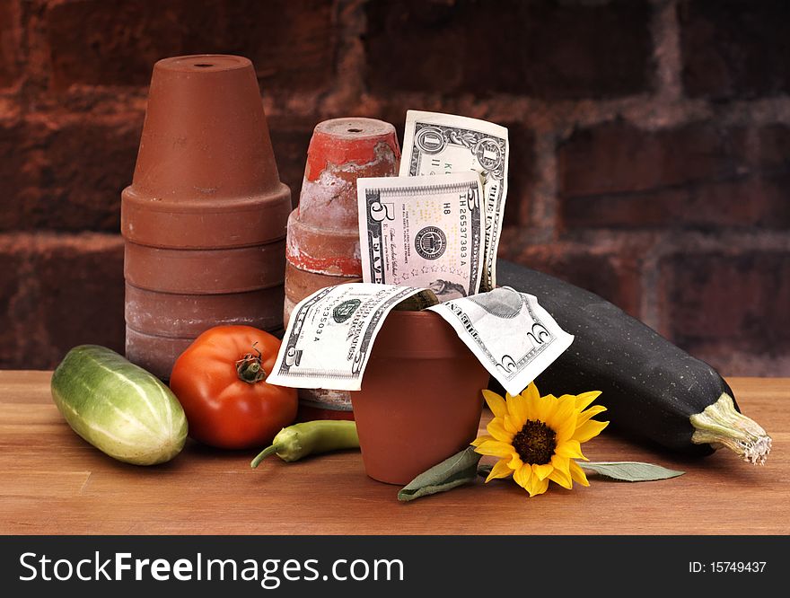 Pots with growing money on brick and wood table