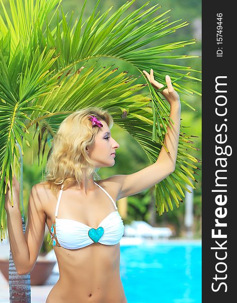 Beautiful woman near swimming pool under palm tree. Beautiful woman near swimming pool under palm tree