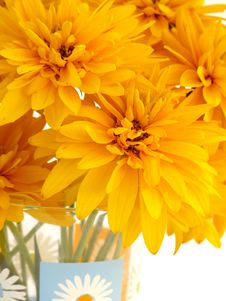Bouquet Of Beautiful Yellow Flowers Royalty Free Stock Photos Bouquet Of Beautiful Yellow Flowers Royalty Free Stock Photos