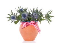 A Bouquet Of Blue Thistles Stock Photo A Bouquet Of Blue Thistles Stock Photo