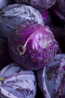 Cabbage Pile Stock Images Cabbage Pile Stock Images