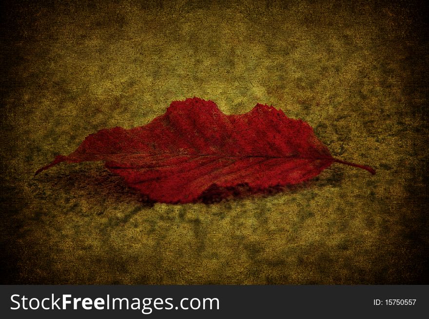 A texture with a red grunge leaf