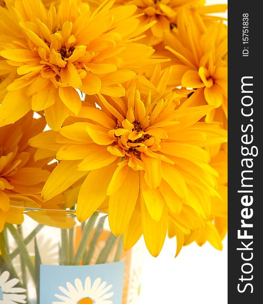 Bouquet of beautiful yellow flowers. Isolated image