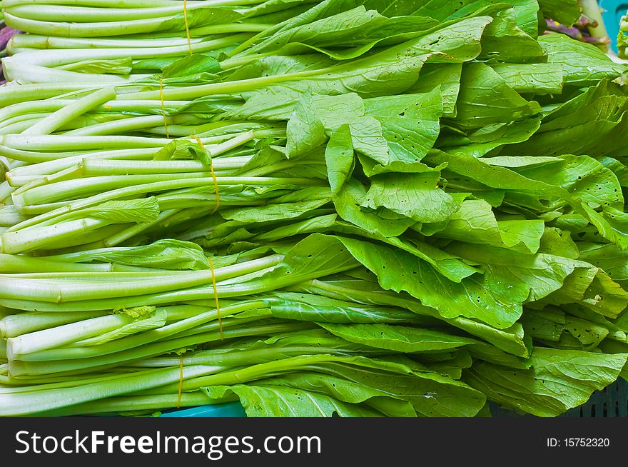 Green Canton vegetables