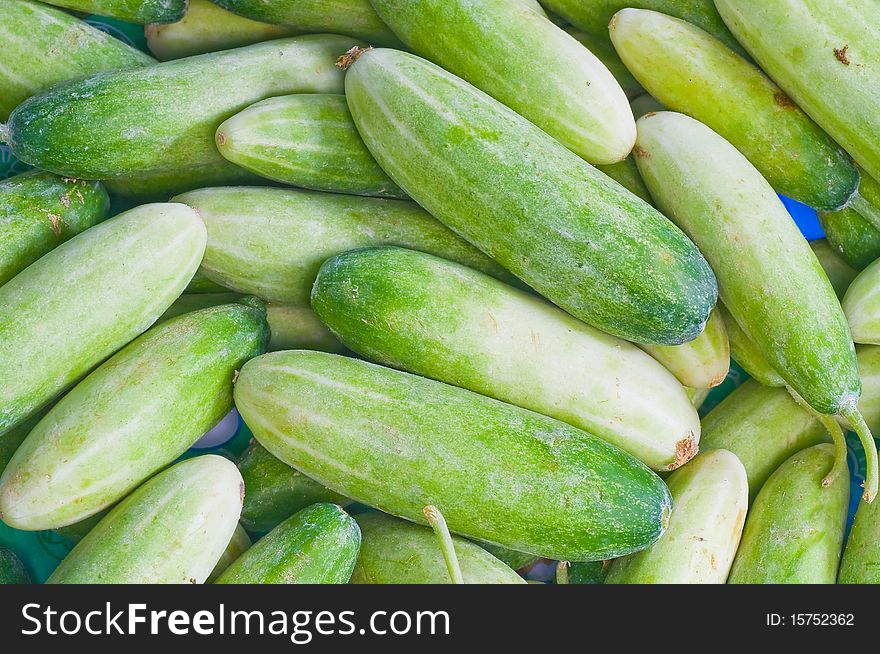 This picture is a group of cucumber. This picture is a group of cucumber