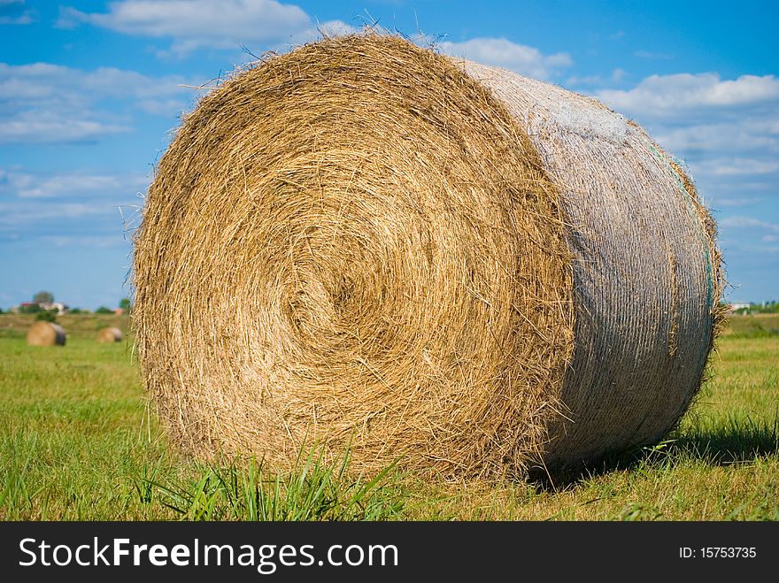 Large roll of hay lying on the field. Large roll of hay lying on the field