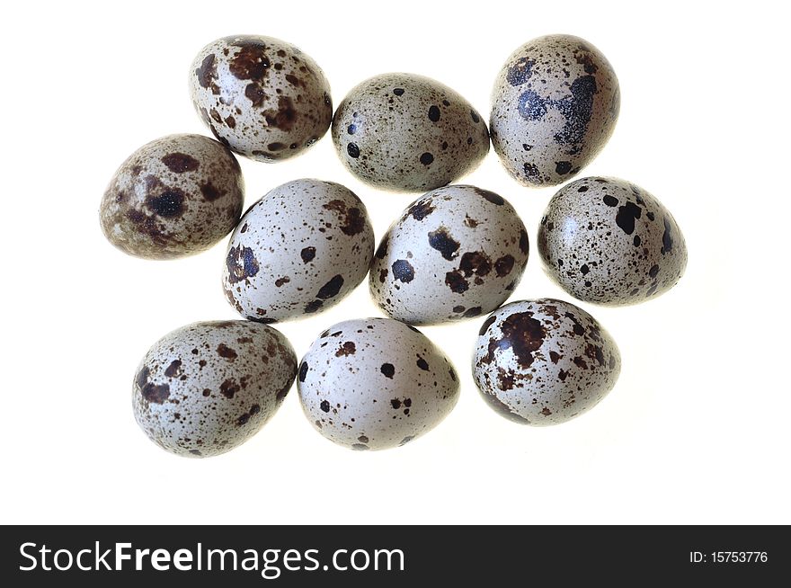 Quail eggs on a white background