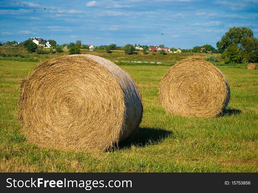 Large roll of hay lying on the field. Large roll of hay lying on the field