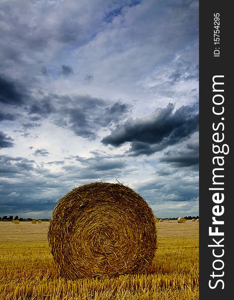 Wheat that has been harvested sitting in a field in England on a cloudy, moody autumn day. Wheat that has been harvested sitting in a field in England on a cloudy, moody autumn day