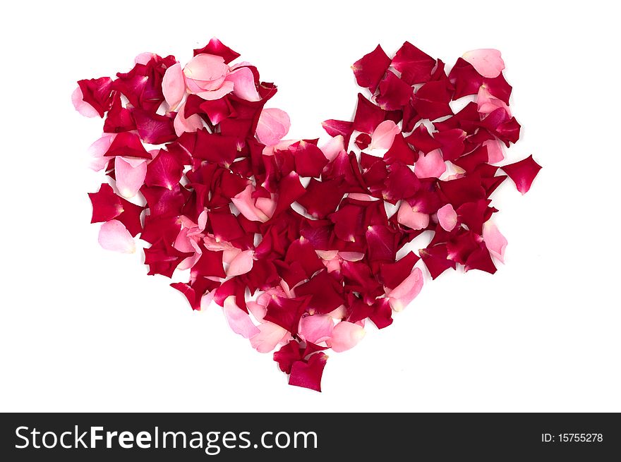Heart made of roses on a white background