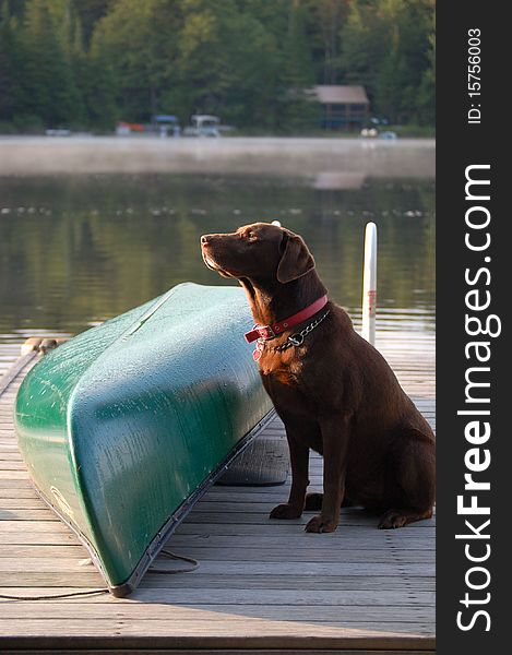 Dog sits on the dock by the canoe waiting to go for a boat ride. Dog sits on the dock by the canoe waiting to go for a boat ride.