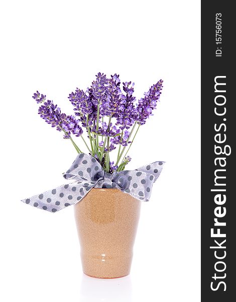 A litlle bouquet of purple lavender in a brown vase  isolated on white background. A litlle bouquet of purple lavender in a brown vase  isolated on white background