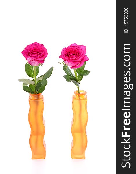 Two pink roses in orange glass vases isolated on white background