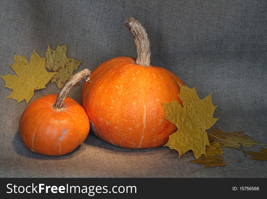 Two pumpkins and autumn leaves on background with canvas texture. Two pumpkins and autumn leaves on background with canvas texture