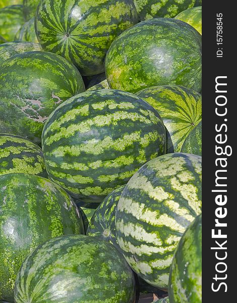 Lots of green, striped, round watermelons on the market