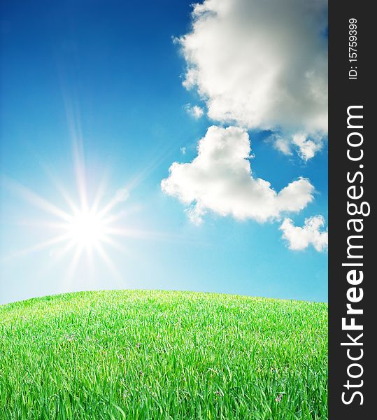 Grass and deep blue sky. Nature composition. Grass and deep blue sky. Nature composition.