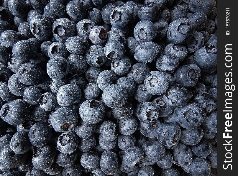 Blueberries Closeup Background