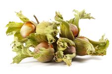 Some Hazelnuts Stock Photos Some Hazelnuts Stock Photos