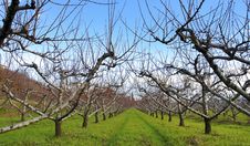 Winter Landscape In Tuscany Italy- Toscana Royalty Free Stock Image Winter Landscape In Tuscany Italy- Toscana Royalty Free Stock Image