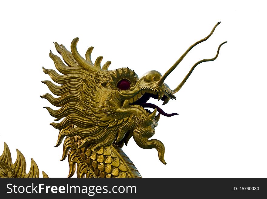 The golden dragon isolated on white background. The golden dragon isolated on white background