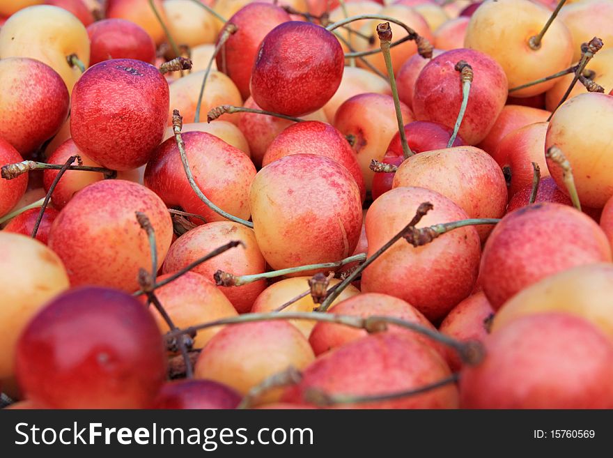 Ripe sweet red and yellow cherries. Ripe sweet red and yellow cherries