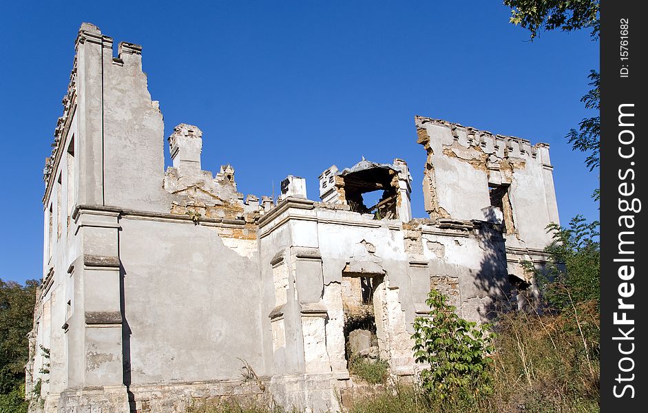 Plants in window of destroyed castle. Plants in window of destroyed castle