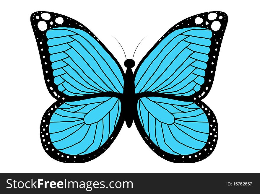 Blue butterfly on the white background