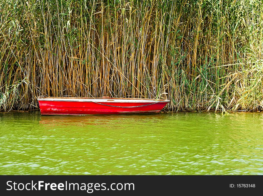 Small, rustic red fishing boat docked in green water in front of reeds on a sunny day
