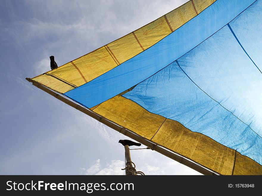 Particular Of A Blue Tent With Two Birds.