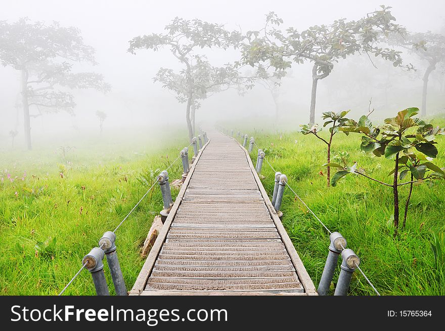 Wooden bridge in foggy garden. Wooden bridge in foggy garden.