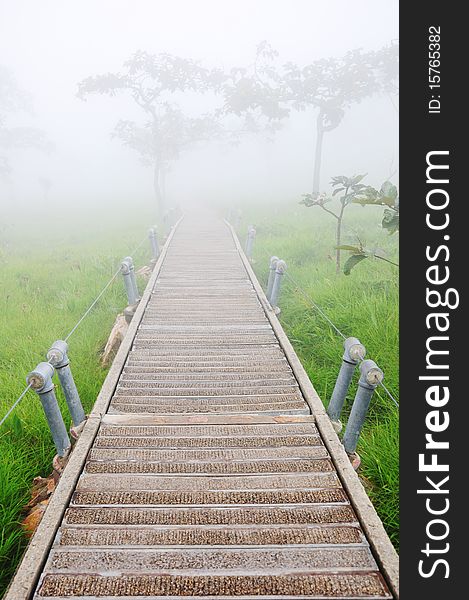 Wooden bridge in foggy garden. Wooden bridge in foggy garden.