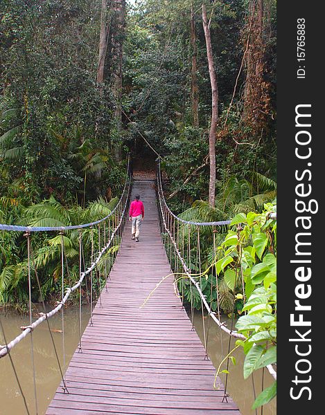 Bridge in National Park of thailand. Bridge in National Park of thailand.