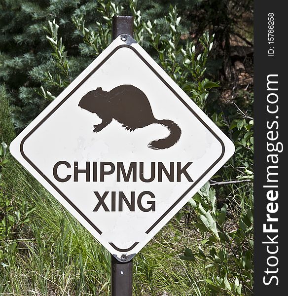 Sign warning motroist of chipmunks crossing the road. Sign warning motroist of chipmunks crossing the road