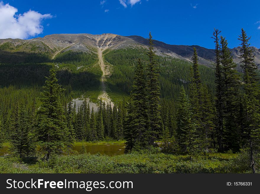 Consolation Lakes Mountain in Banff