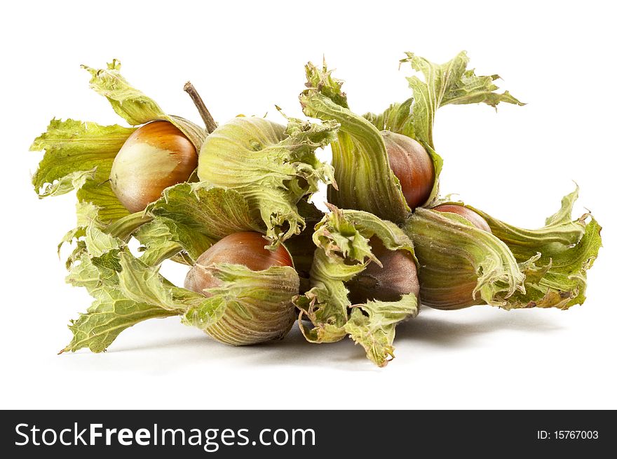 Heap of hazelnuts isolated over white background. Heap of hazelnuts isolated over white background