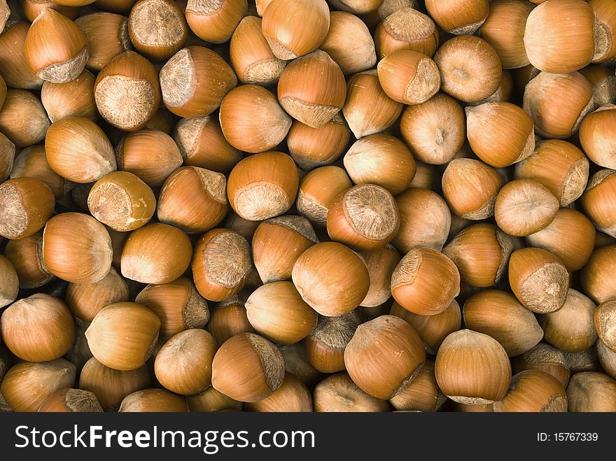 Textured background of Hazelnuts close-up