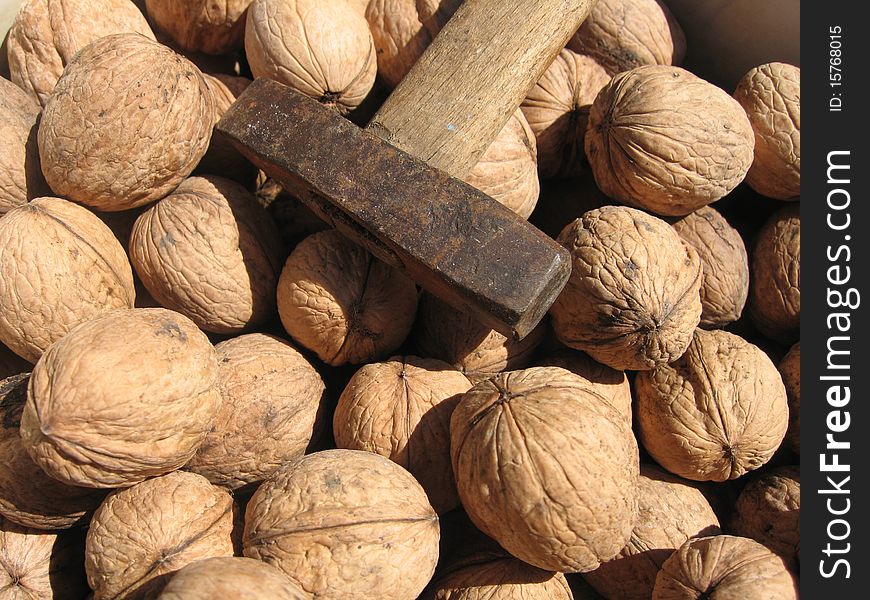 A handful of nuts, and laying on top of them hammer. A handful of nuts, and laying on top of them hammer