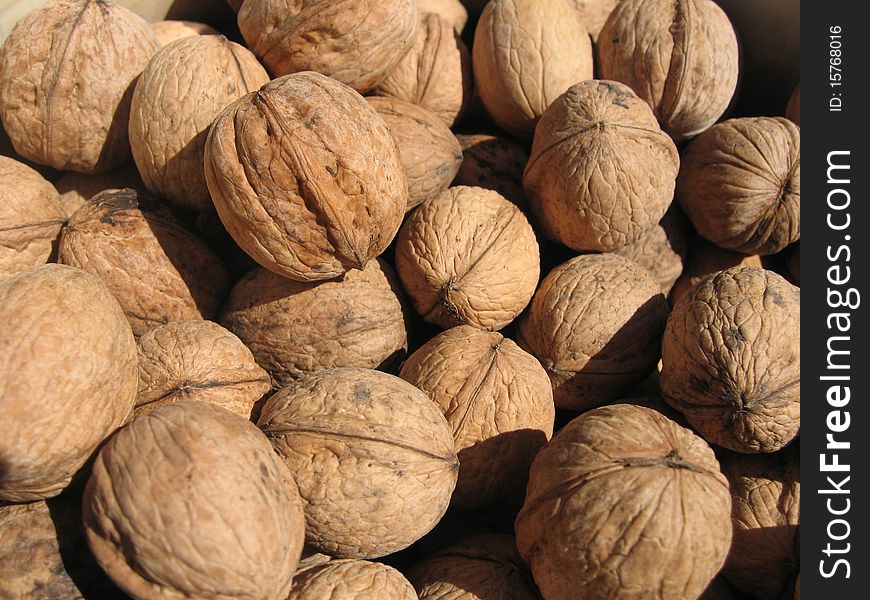 Huge amount of nuts in the garden