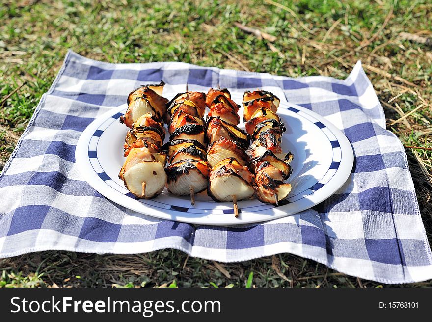 Barbecue on a plate at picnic