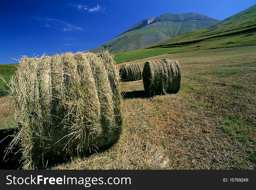 The sky is blue,the forage is ready in the fields, the summer on the plateau of apennines mountains