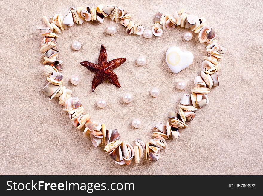 Seashells in sand