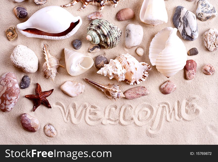 Seashells In Sand With Text