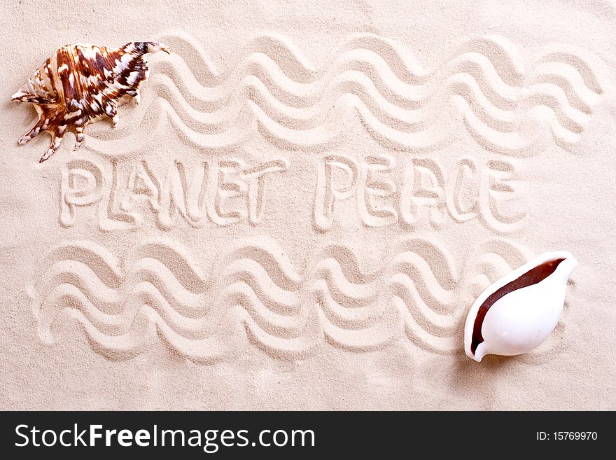 Seashells in sand with text as a background
