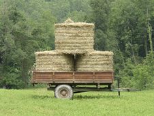 Old Wagon With Hay On Prairie Stock Image Old Wagon With Hay On Prairie Stock Image