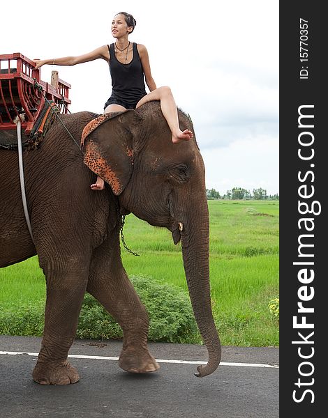 Female teenager rides elephant, adventure at Surin in Thailand
