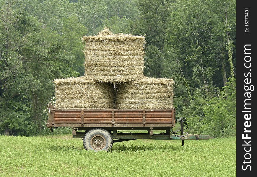 Old wagon with hay on green prairie. Old wagon with hay on green prairie