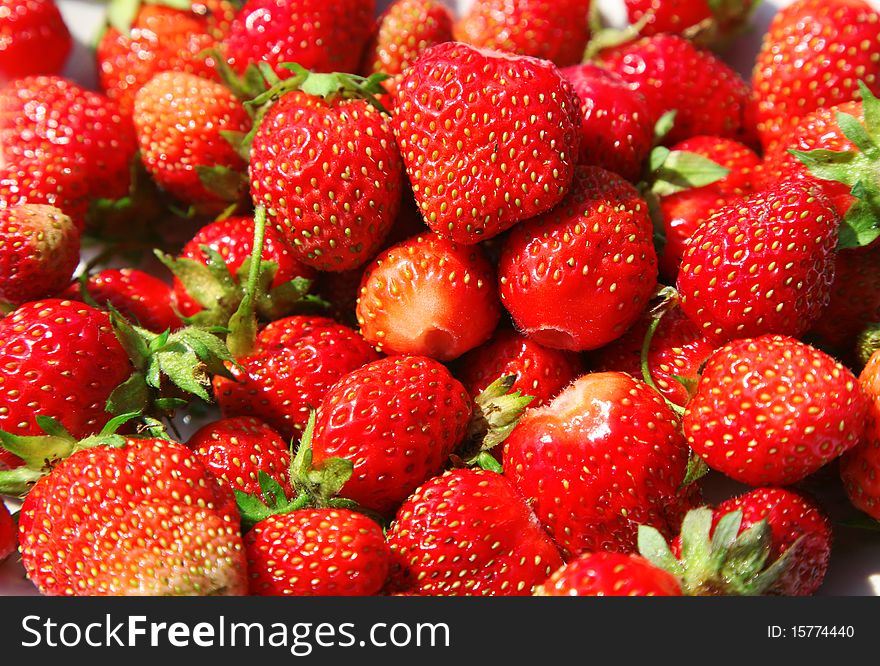 A lot of ripe red strawberries