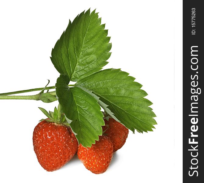 Strawberry With Leaves Isolated